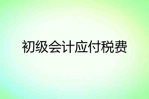 初级会计应付税费