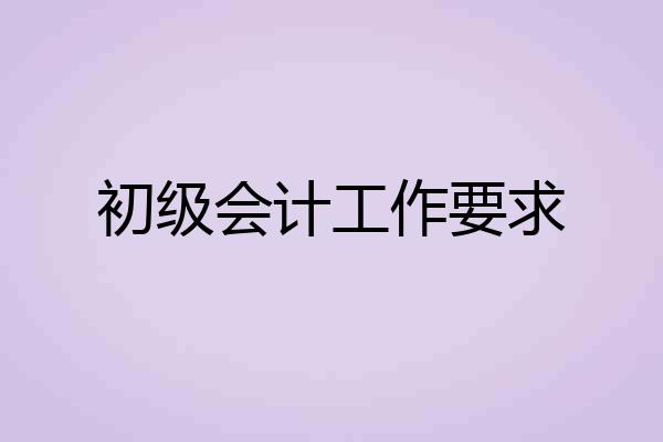 初级会计工作要求