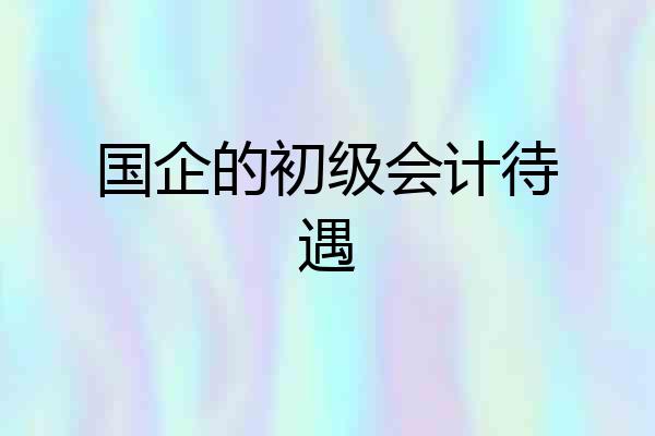 国企的初级会计待遇