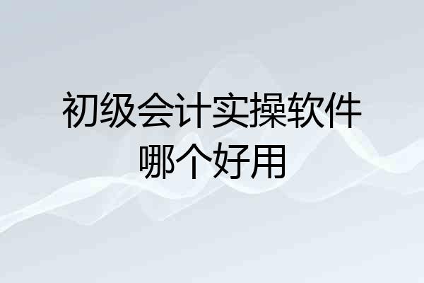 初级会计实操软件哪个好用