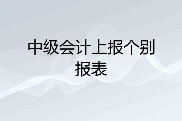 中级会计上报个别报表