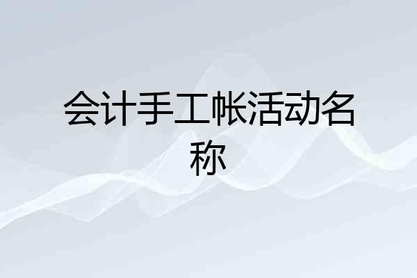 会计手工帐活动名称