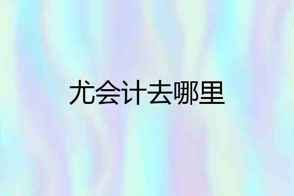 尤会计去哪里