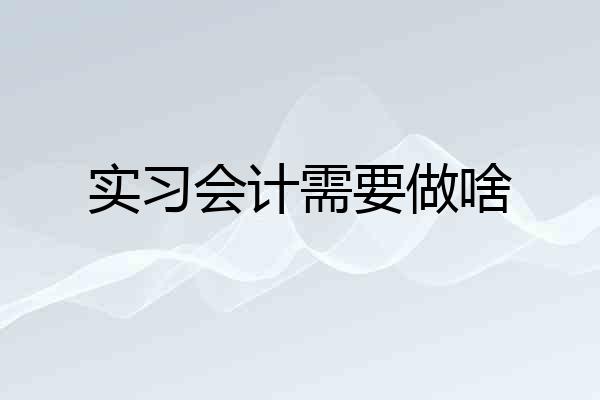 实习会计需要做啥