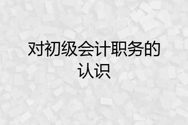 对初级会计职务的认识