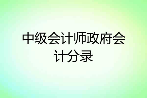 中级会计师政府会计分录
