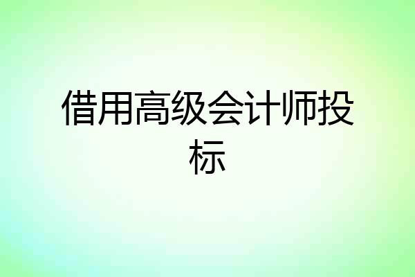 借用高级会计师投标