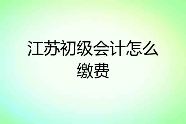 江苏初级会计怎么缴费