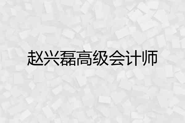 赵兴磊高级会计师