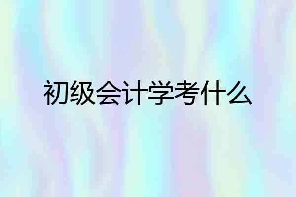 初级会计学考什么