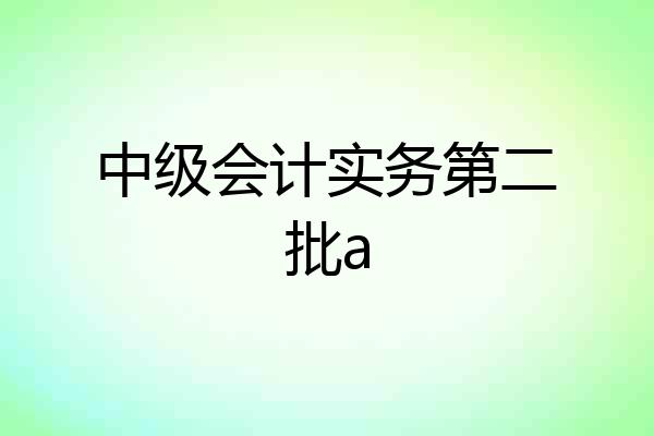 中级会计实务第二批a
