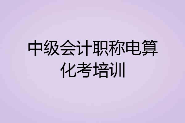 中级会计职称电算化考培训