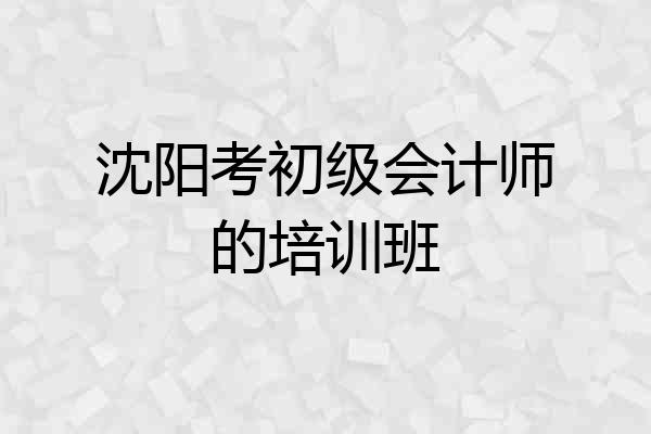 沈阳考初级会计师的培训班
