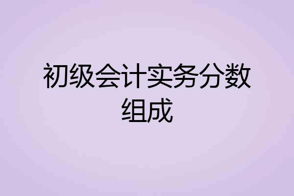 初级会计实务分数组成