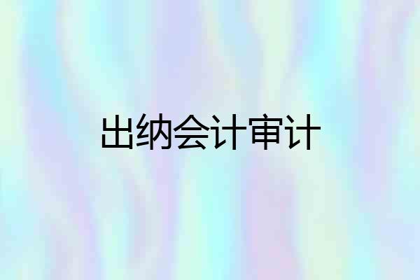 出纳会计审计