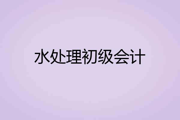 水处理初级会计