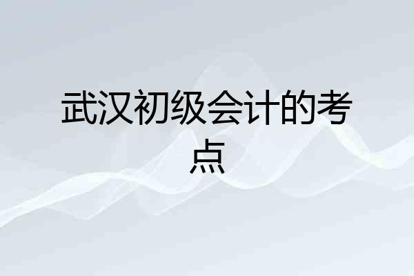 武汉初级会计的考点