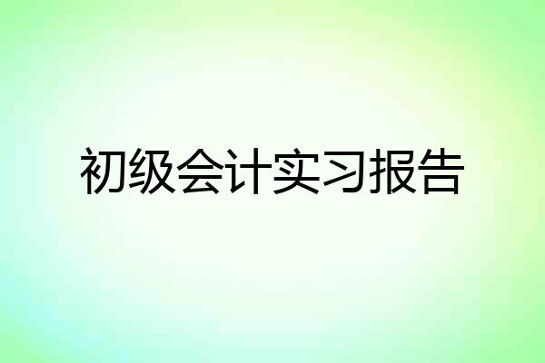 初级会计实习报告