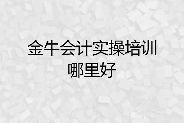 金牛会计实操培训哪里好