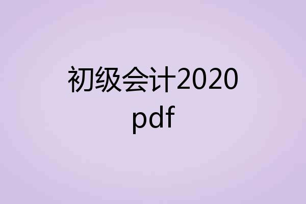 初级会计2020pdf