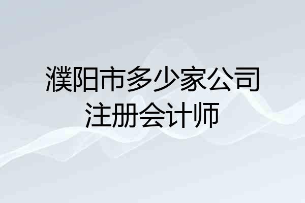 濮阳市多少家公司注册会计师