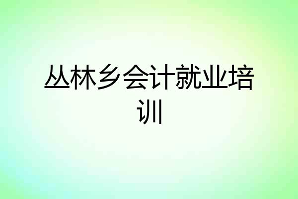 丛林乡会计就业培训