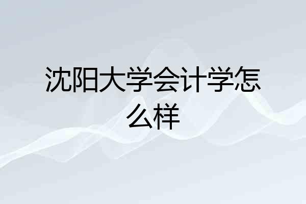 沈阳大学会计学怎么样