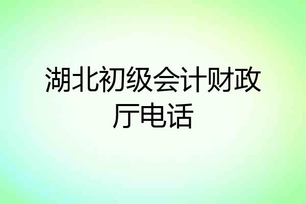 湖北初级会计财政厅电话