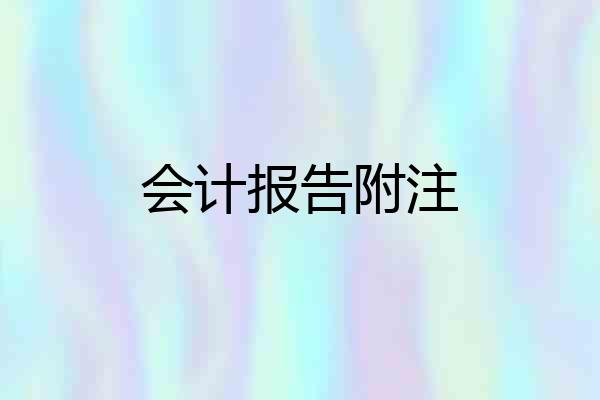 会计报告附注