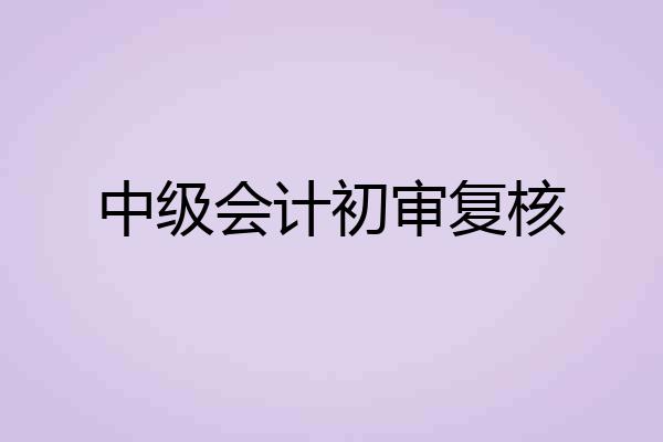 中级会计初审复核
