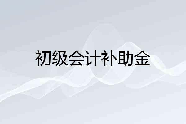 初级会计补助金
