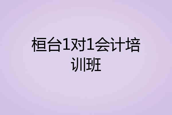 桓台1对1会计培训班