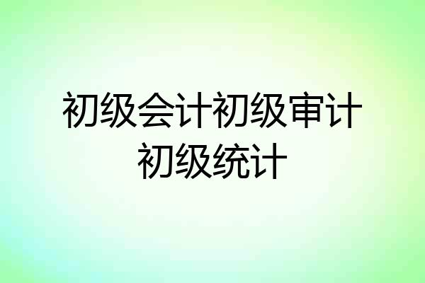 初级会计初级审计初级统计