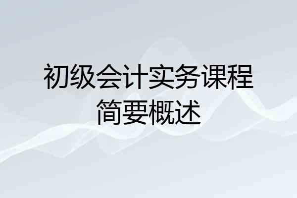 初级会计实务课程简要概述