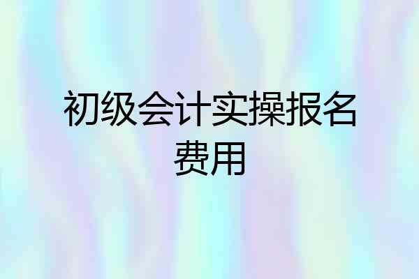初级会计实操报名费用