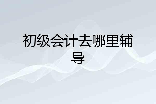 初级会计去哪里辅导
