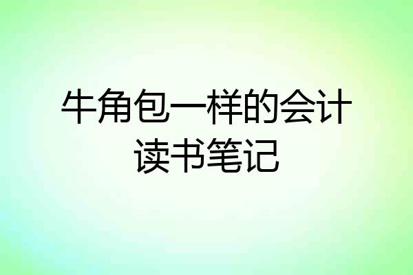 牛角包一样的会计读书笔记
