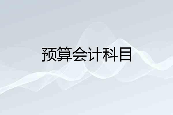 预算会计科目