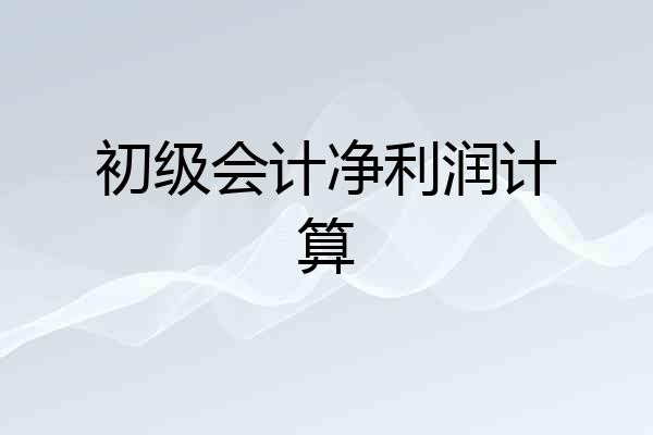 初级会计净利润计算