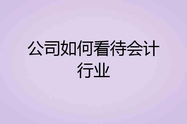 公司如何看待会计行业