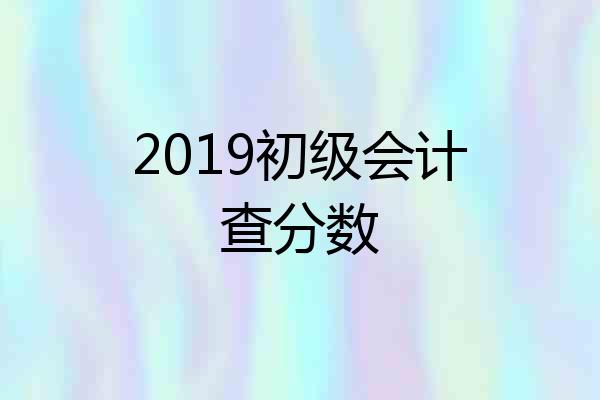 2019初级会计查分数