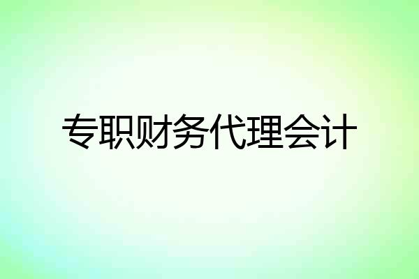 专职财务代理会计