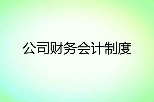 公司财务会计制度
