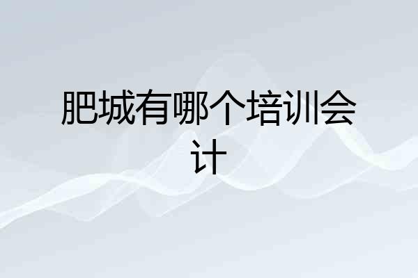 肥城有哪个培训会计