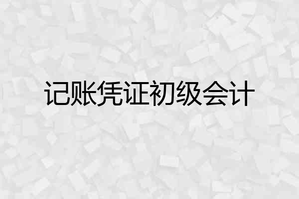 记账凭证初级会计