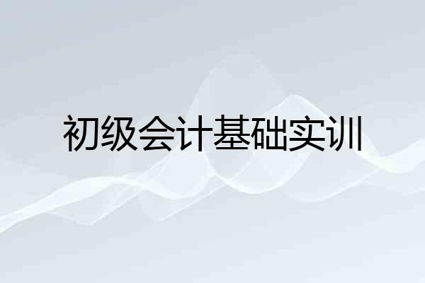 初级会计基础实训