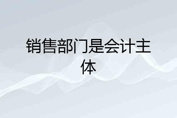 销售部门是会计主体