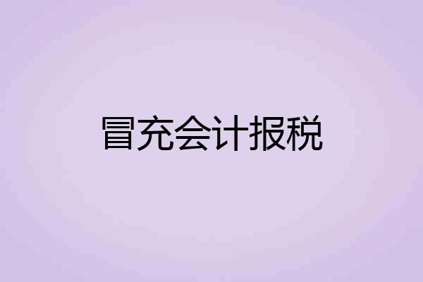 冒充会计报税