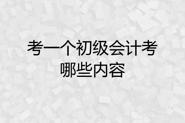 考一个初级会计考哪些内容