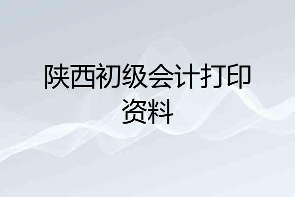陕西初级会计打印资料
